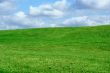 Field and cloudy sky