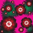 blossom flowers