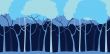 Forest background 