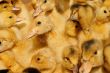 Many small domestic ducklings 