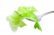 Salad on a fork