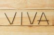VIVA word is composed with nails 