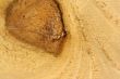 Wood grain texture backgound