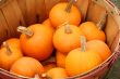 Bunch of small pumpkins in a basket