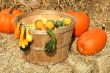 Bunch of gourds in a basket with hay