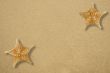 Two star fish on the sand