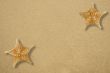 Two star fish on the sand