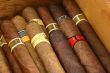 Cigars in a humidor