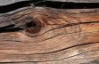 Woody Texture
