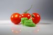 tomatoes with basil