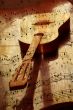 acoustic guitar