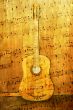 acoustic guitar