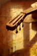 acoustic guitar