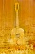 acoustic guitar