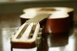 acoustic guitar