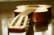 acoustic guitar