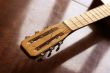 acoustic guitar