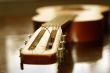 acoustic guitar