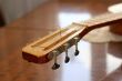 acoustic guitar