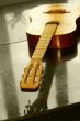 acoustic guitar