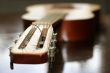 acoustic guitar