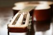 acoustic guitar