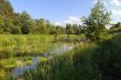 Overgrown River in Central Russia