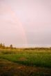 Rainbow Over Countryside