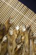 Dry Fish