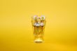 daisy in the glass