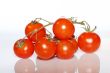 close up tomato