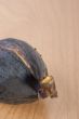 Ripe fruits of a fig