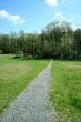 Path through a green field