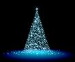  christmas fir