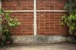 Wall with plants