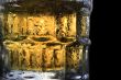 Cold beer