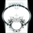 ornate frame