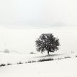 Winter in Valdarbia