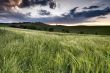 Sunset in Corsanello - Tuscany