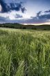 Sunset in Corsanello - Tuscany