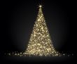  christmas fir