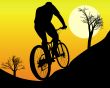 mountain biker