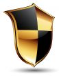 shield icon