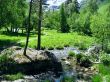 Green meadow in the forest and sky reflection