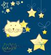 Cat and stars