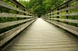 Wooden bridge through the forest