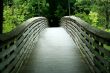 Wooden bridge through the forest