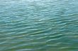 Waves of fresh water