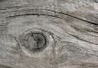  Texture of old boards. Gray background.