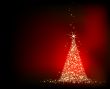  christmas fir background